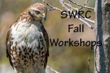 SWRC Blog: Fall Workshops