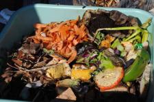 Regina Council approves curbside organic waste pickup, with pilot due for 2020