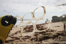 SWRC Blog: Plastic Bans in Context