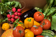 Reducing food waste, one box at a time