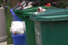 Ottawa Environment committee approves green bins in apartment buildings